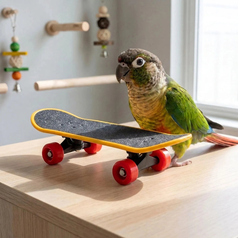 Interaktives Vogelspielzeug -  SkateBeak