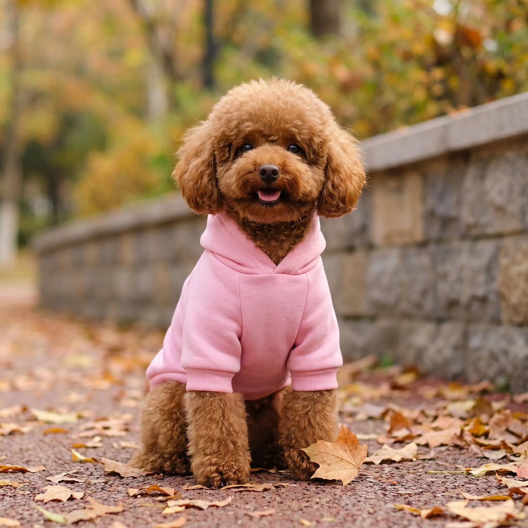 Kapuzenpullover Für Hunde -  Kordale