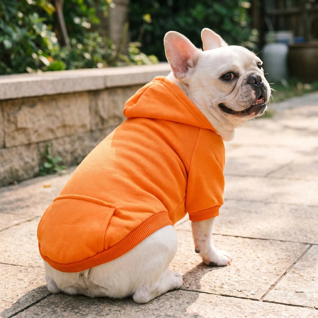 Kapuzenpullover Für Kleine Haustiere -  Houndly