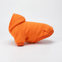 Kapuzenpullover Für Kleine Haustiere -  Houndly