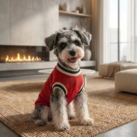 Klassischer Hunde-Pullover Aus Strick -  Canisus