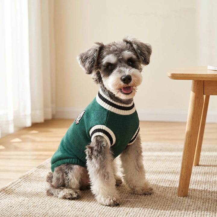 Klassischer Hunde-Pullover Aus Strick -  Canisus