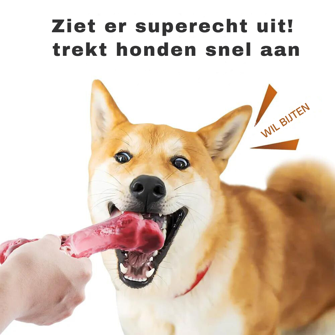 Knochenförmiges Kauspielzeug -  Barkom