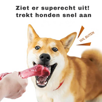 Knochenförmiges Kauspielzeug -  Barkom