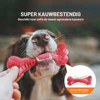 Knochenförmiges Kauspielzeug -  Barkom
