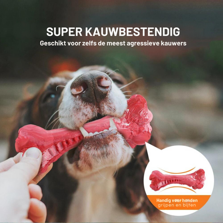 Knochenförmiges Kauspielzeug -  Barkom