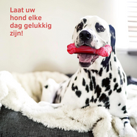 Knochenförmiges Kauspielzeug -  Barkom