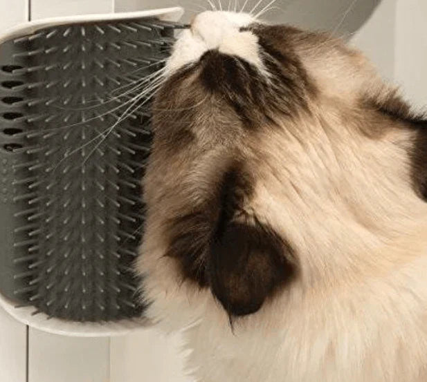 Kompakte Eckbürste Für Katzen -  Rubbex