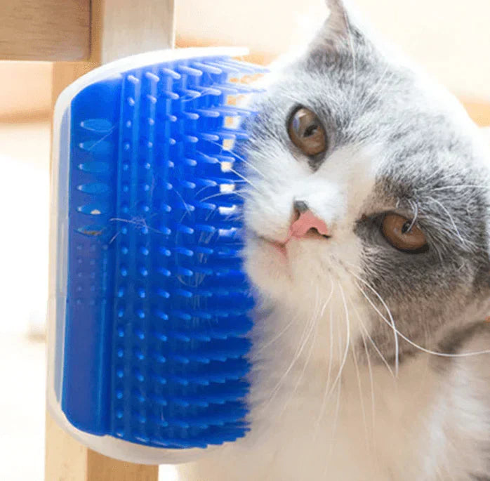 Kompakte Eckbürste Für Katzen -  Rubbex