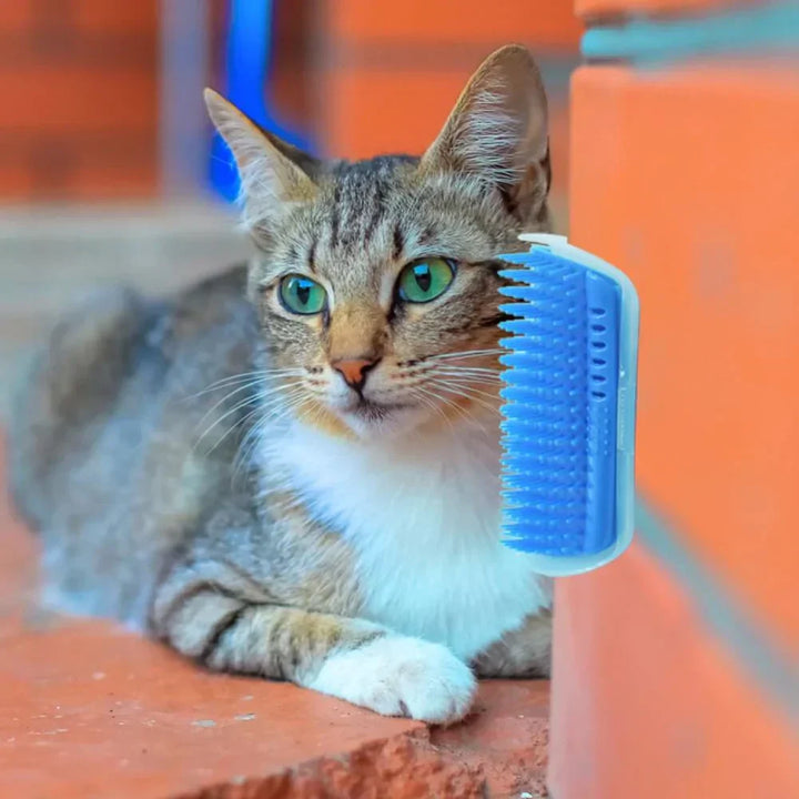 Kompakte Eckbürste Für Katzen -  Rubbex