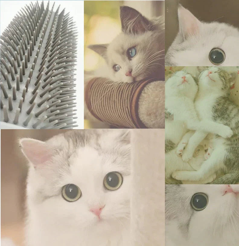 Kompakte Eckbürste Für Katzen -  Rubbex