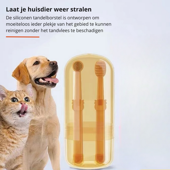 Kompakte Haustierzahnbürste -  Dentovate