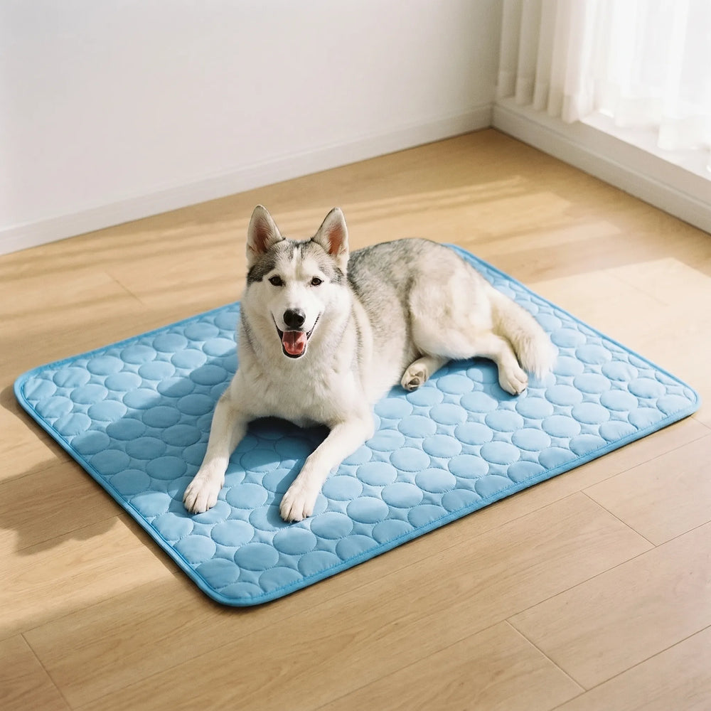 Kühlmatte Für Hunde Und Katzen -  Coolpaws