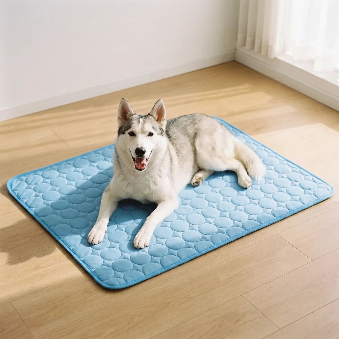 Kühlmatte Für Hunde Und Katzen -  Coolpaws