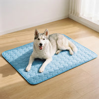 Kühlmatte Für Hunde Und Katzen -  Coolpaws