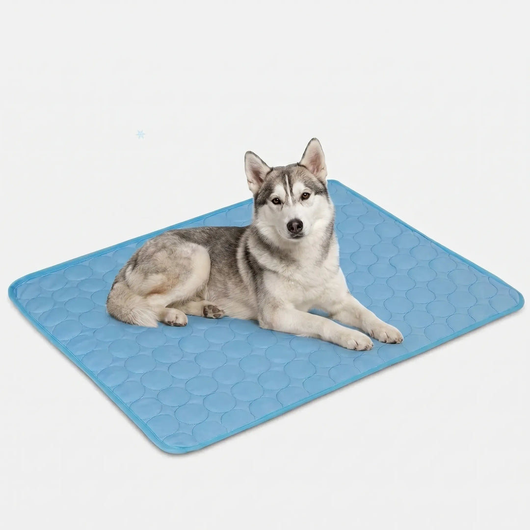 Kühlmatte Für Hunde Und Katzen -  Coolpaws
