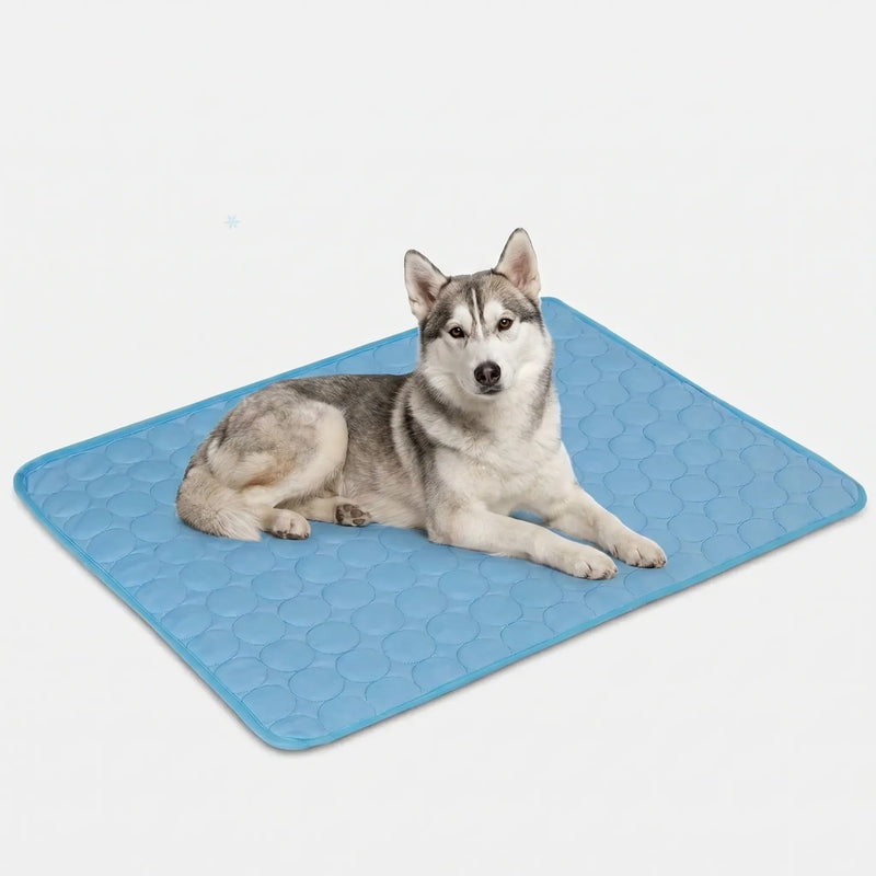 Kühlmatte Für Hunde Und Katzen -  Coolpaws