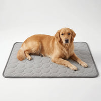 Kühlmatte Für Hunde Und Katzen -  Coolpaws
