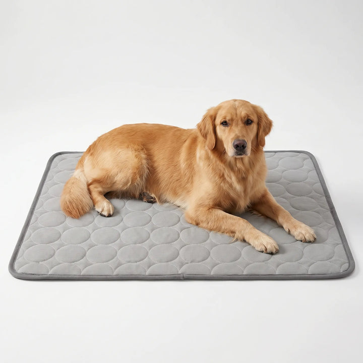 Kühlmatte Für Hunde Und Katzen -  Coolpaws