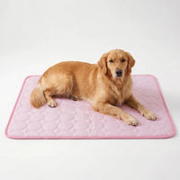 Kühlmatte Für Hunde Und Katzen -  Coolpaws
