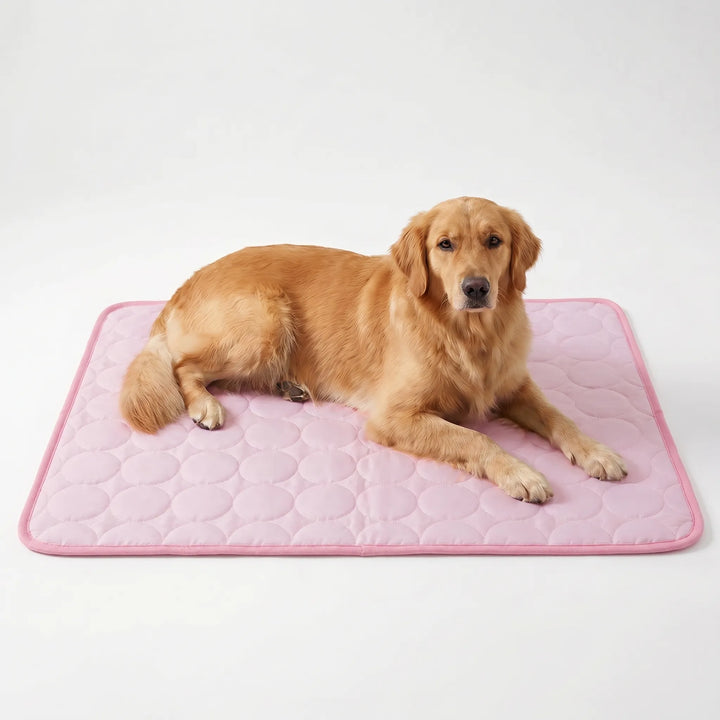 Kühlmatte Für Hunde Und Katzen -  Coolpaws