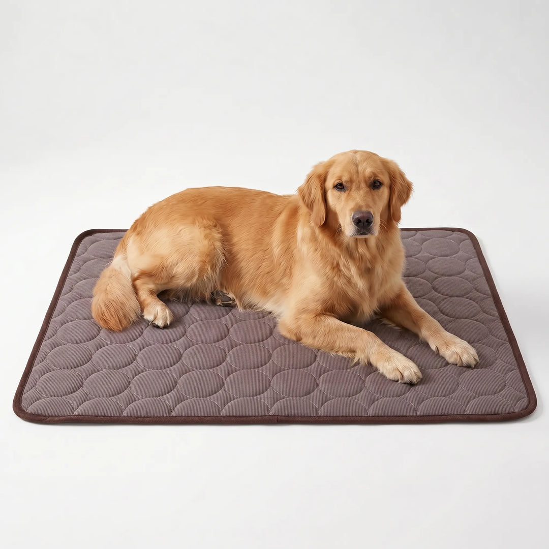 Kühlmatte Für Hunde Und Katzen -  Coolpaws