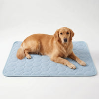 Kühlmatte Für Hunde Und Katzen -  Coolpaws