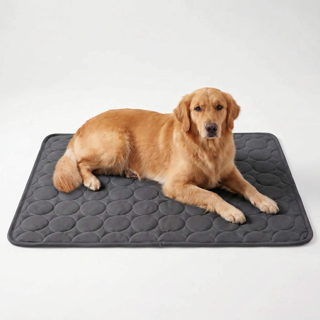 Kühlmatte Für Hunde Und Katzen -  Coolpaws