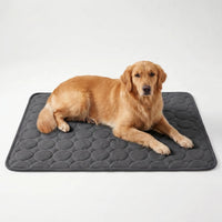 Kühlmatte Für Hunde Und Katzen -  Coolpaws