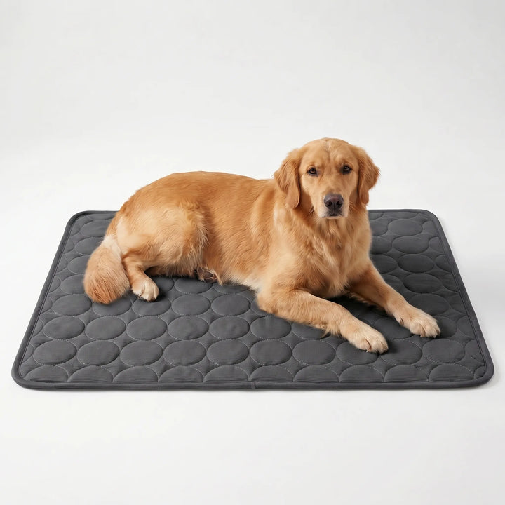 Kühlmatte Für Hunde Und Katzen -  Coolpaws