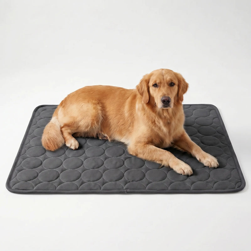 Kühlmatte Für Hunde Und Katzen -  Coolpaws