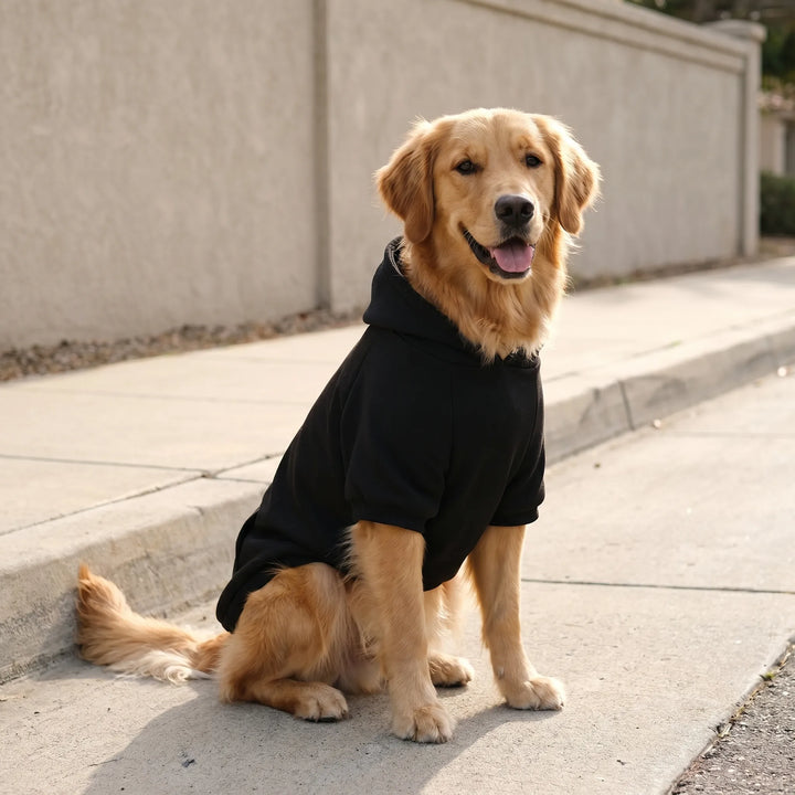 Lässiger Kapuzenpullover Für Hunde -  Trottis