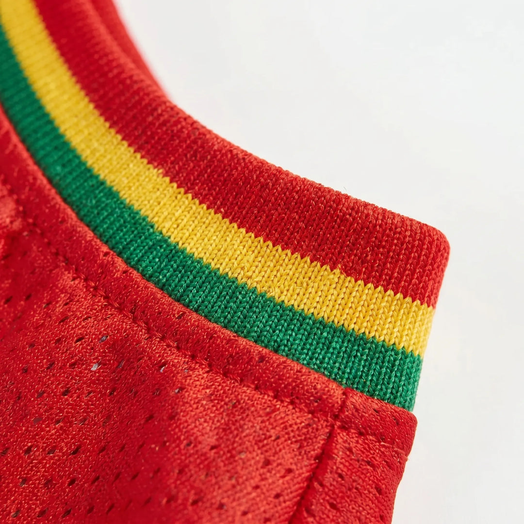 Leichtes Hunde-Fußballtrikot -  Kickster