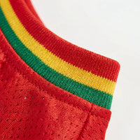 Leichtes Hunde-Fußballtrikot -  Kickster
