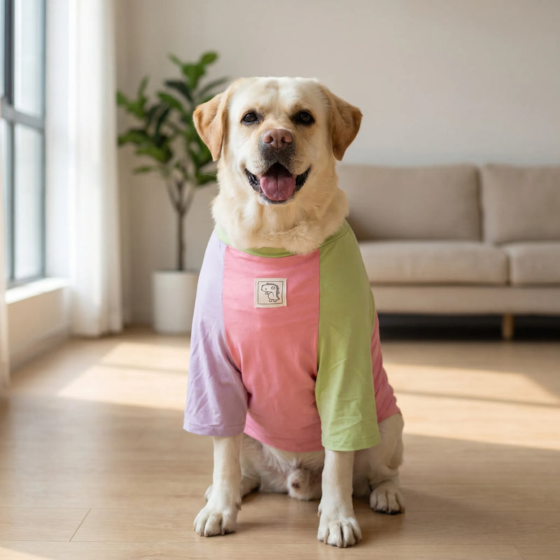 Leichtes Hunde-T-Shirt -  Someri
