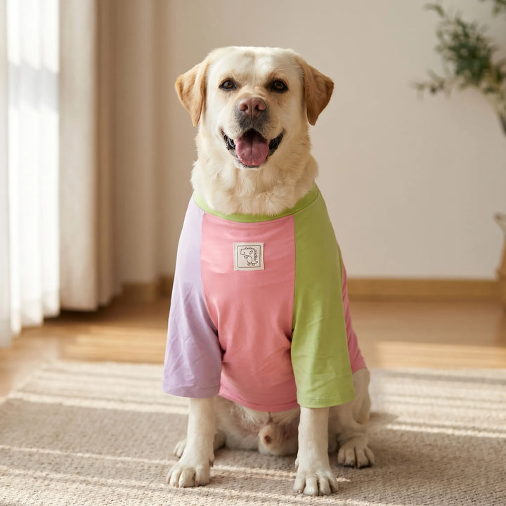 Leichtes Hunde-T-Shirt -  Someri