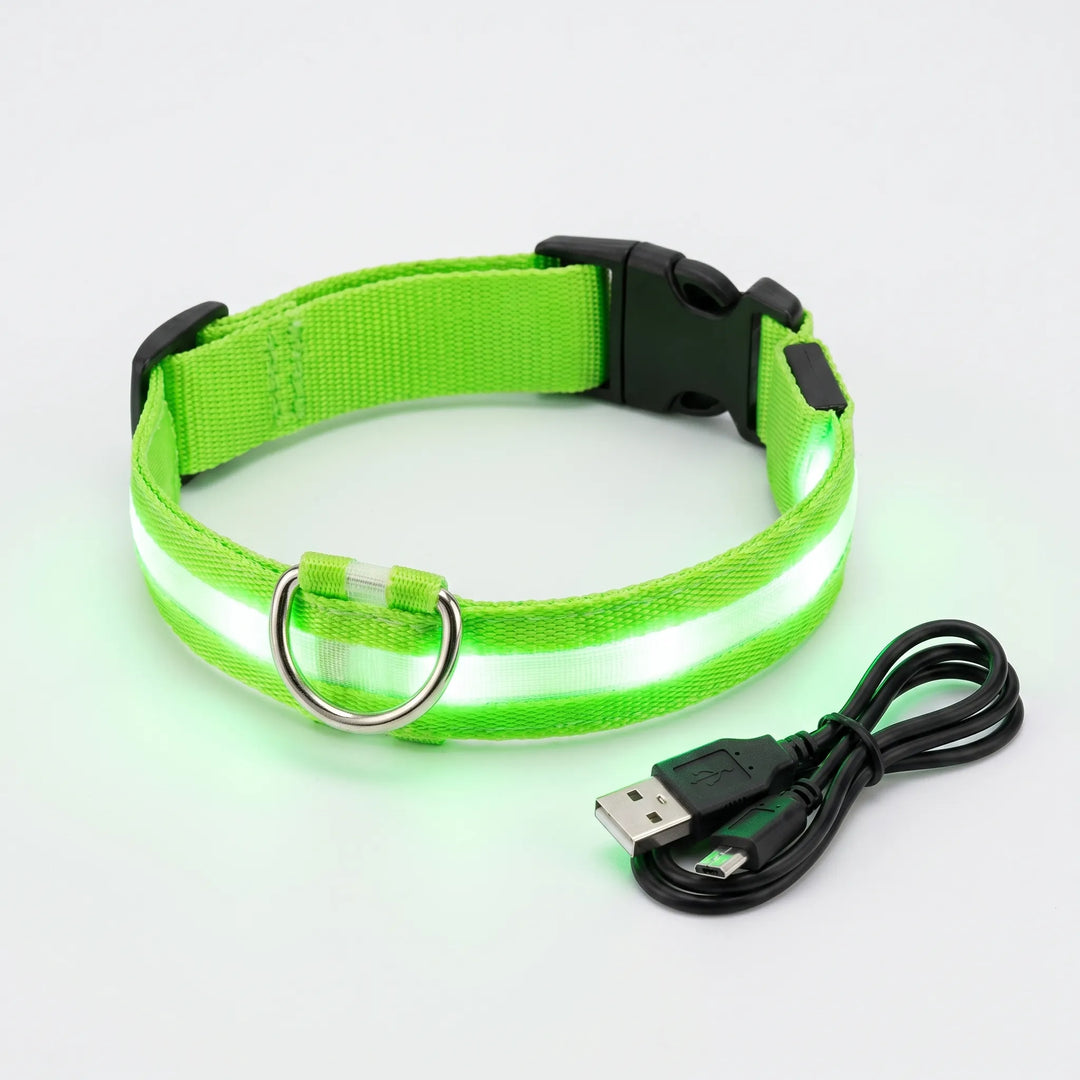 Leuchtendes Halsband -  Glovex