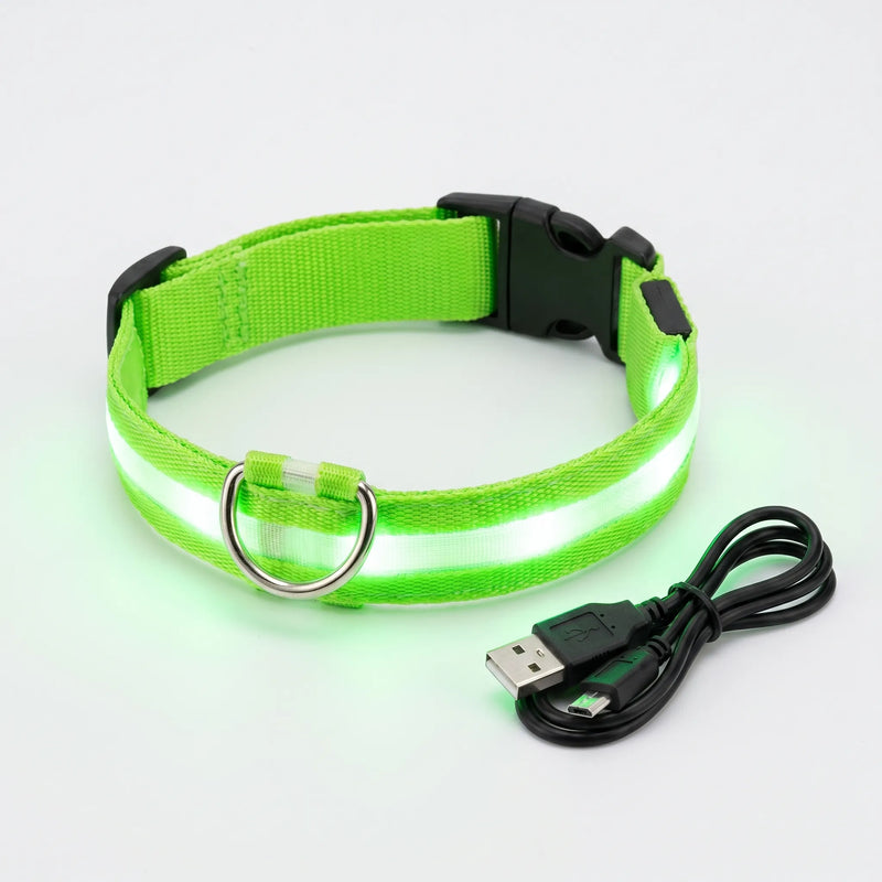 Leuchtendes Halsband -  Glovex