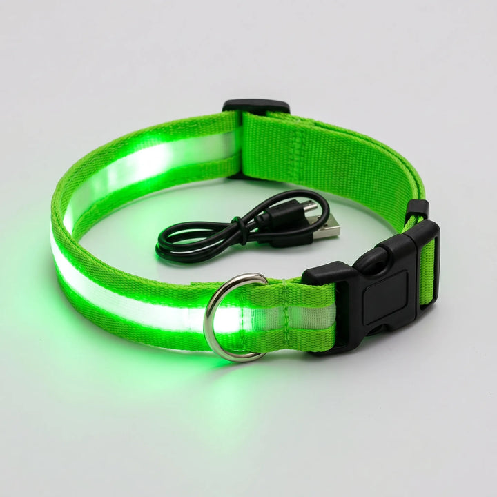 Leuchtendes Halsband -  Glovex