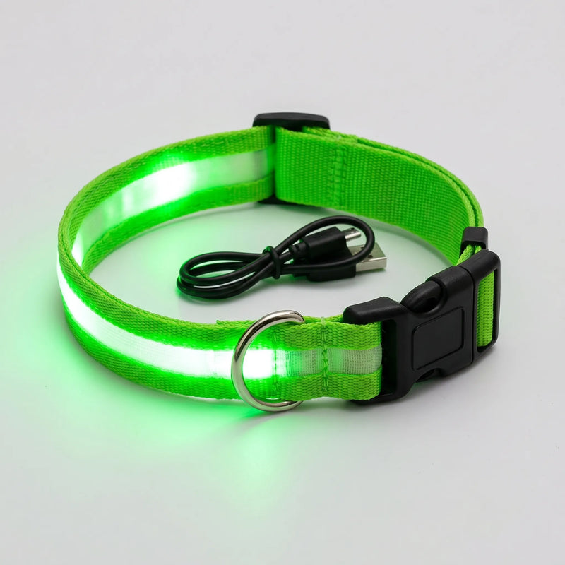 Leuchtendes Halsband -  Glovex