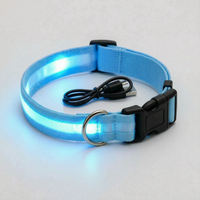 Leuchtendes Halsband -  Glovex