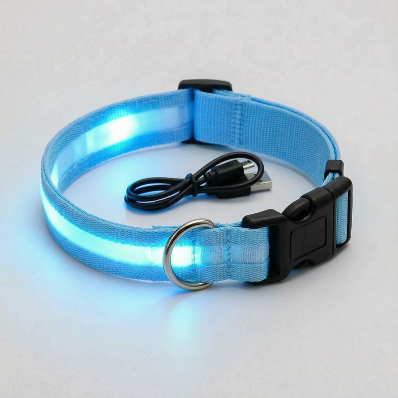Leuchtendes Halsband -  Glovex