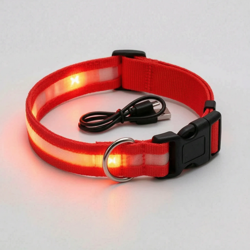 Leuchtendes Halsband -  Glovex