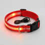 Leuchtendes Halsband -  Glovex