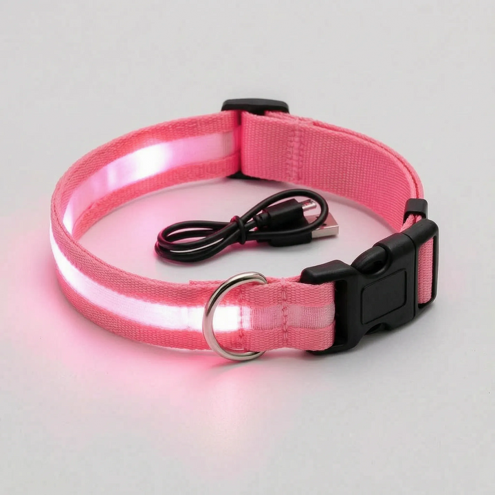 Leuchtendes Halsband -  Glovex