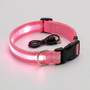 Leuchtendes Halsband -  Glovex