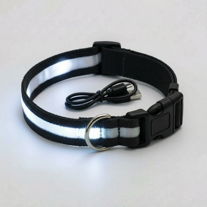 Leuchtendes Halsband -  Glovex