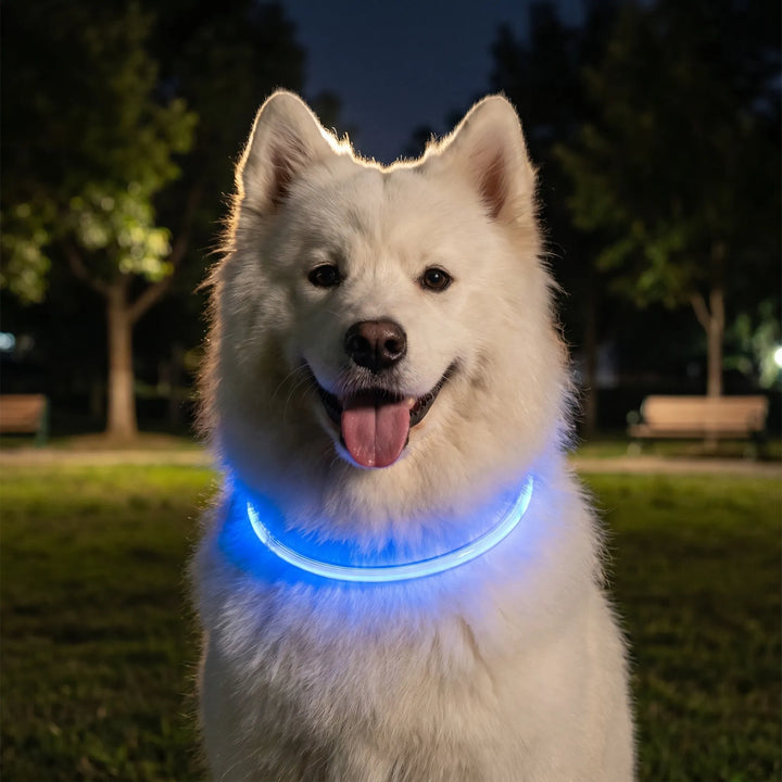 Leuchthalsband Für Hunde -  Glowen