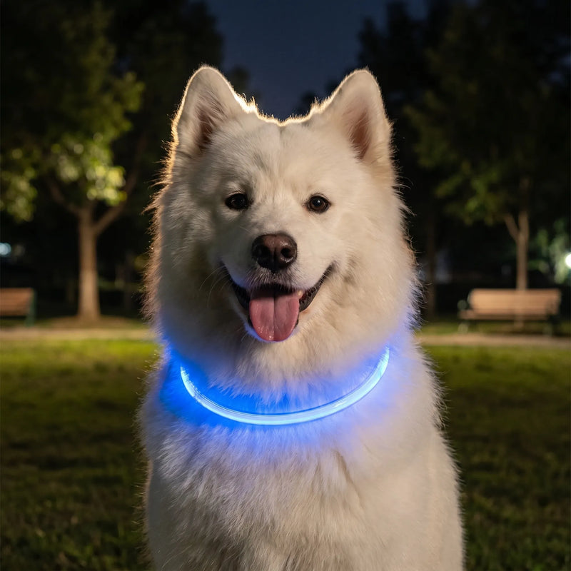 Leuchthalsband Für Hunde -  Glowen