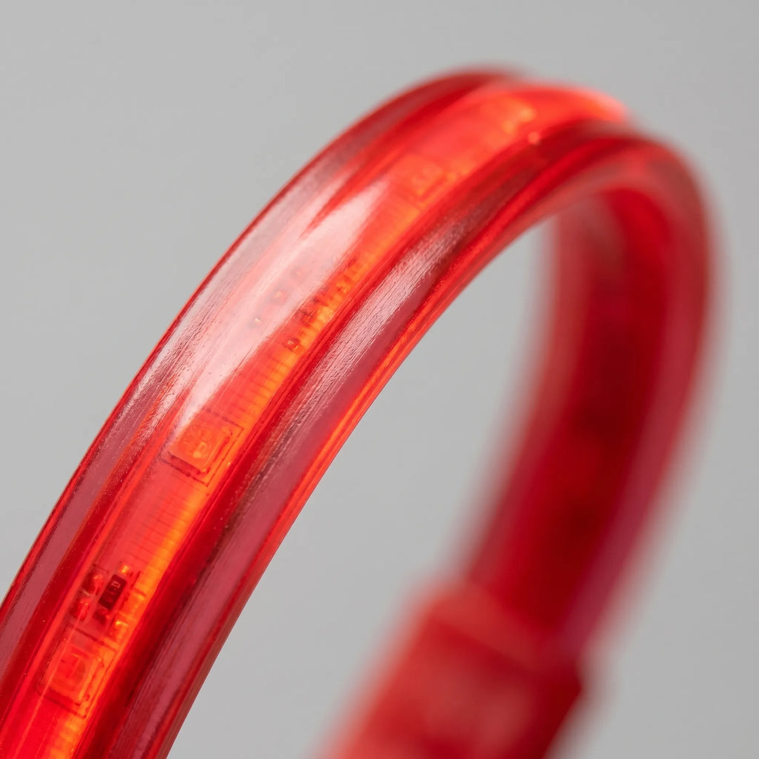 Leuchthalsband Für Hunde -  Glowen
